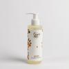 1637 SHampon Campos de Ibi...